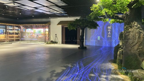 数字创意先锋，国际荣耀加冕 凡拓数创赵崇光荣获idpa award top100国际影响力创新设计师大奖